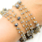 Coated Labradorite Double Gold Plated Connected Wire Chain